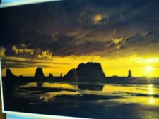 VINTAGE POST CARD PACIFIC