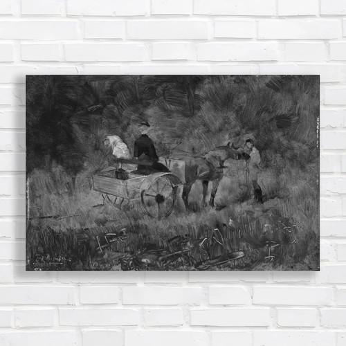 Horse drawn wagon forest - horse-drawn,