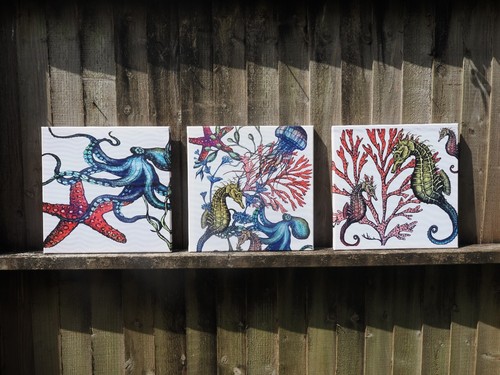 Set three canvas - of,