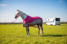 Ruggles Mesh/Fleece Cooler Rug