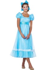 Wendy Adult Costume Dress
