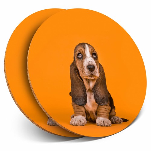 Coasters basset hound - -,