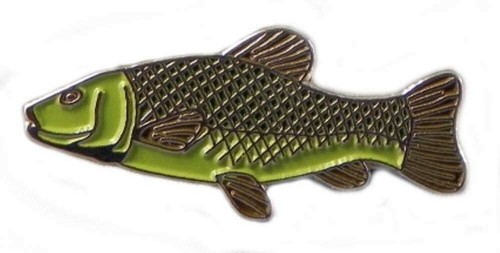 Tench fish angling fisherman - tench,