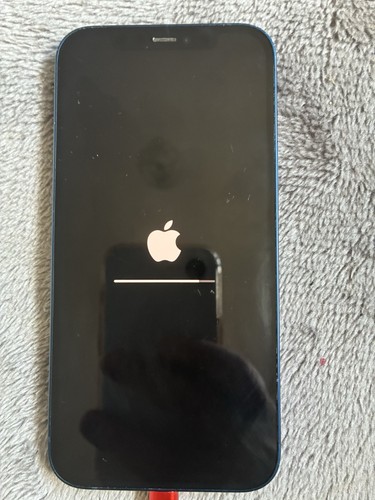 Iphone 64g blue - 64g, used