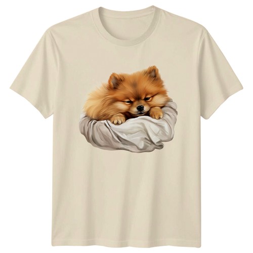 Pomeranian dog animals - pomeranian,