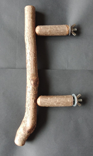 Natural wood bird - *natural,
