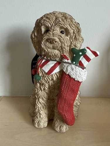 Next louie the labradoodle - next,