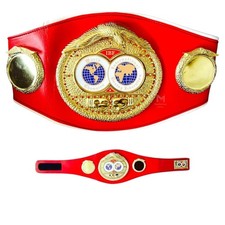 IBF Boxing World Championship
