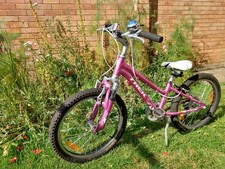 Trek MT60 Child's Bicycle 20