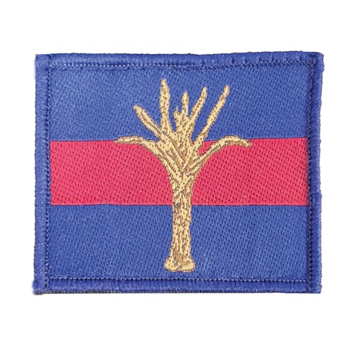 British army welsh guards - welsh,