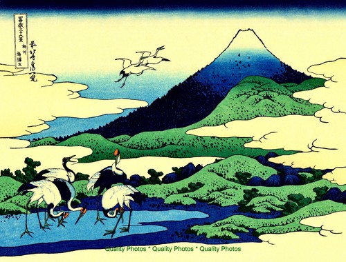 Fuji with cranes 5x11 - with,