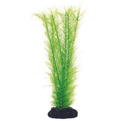Aqua one silk - aqua, plant