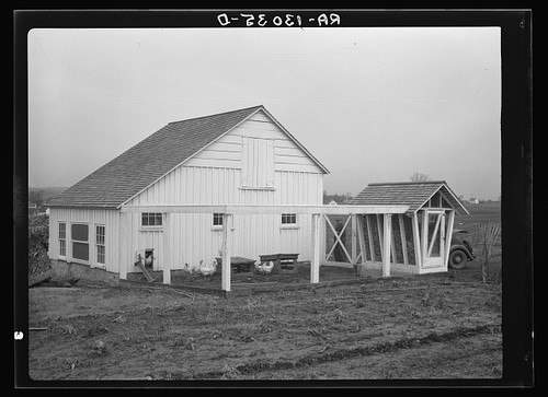 Reedsville west virginia 1936 - virginia,