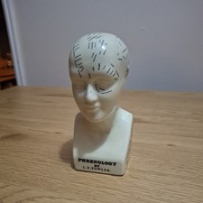 Vintage 16cm Phrenology Head By L.N. Fowler