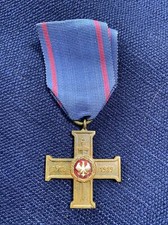 WWI Poland Wielkopolski Great