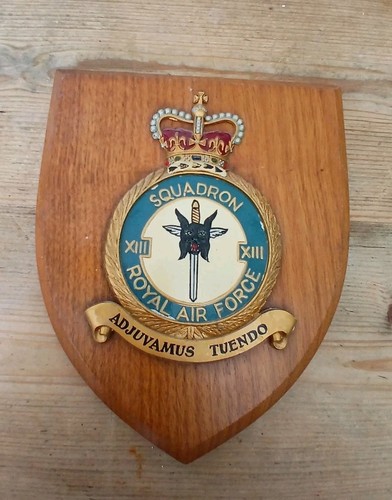 Raf squadron crest mess - squadron,