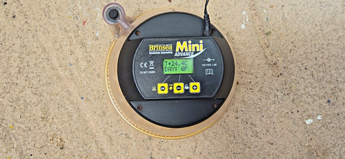 Brinsea mini advance - mini,