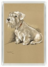 SEALYHAM TERRIER SEATED DOG