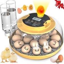 Quiet Egg Incubator for Home