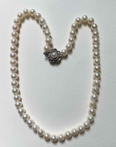 Real akoya sea water pearls - sea,