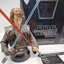 Anakin Skywalker Gentle Giant