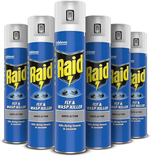 Raid indoor insecticide spray - indoor,
