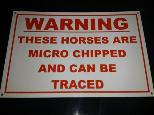 These horses are microchipped - horses,