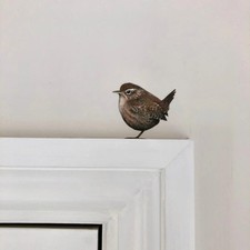 Charming Bird Decals - Easy to