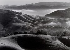 John Wimberley, "Pastoral