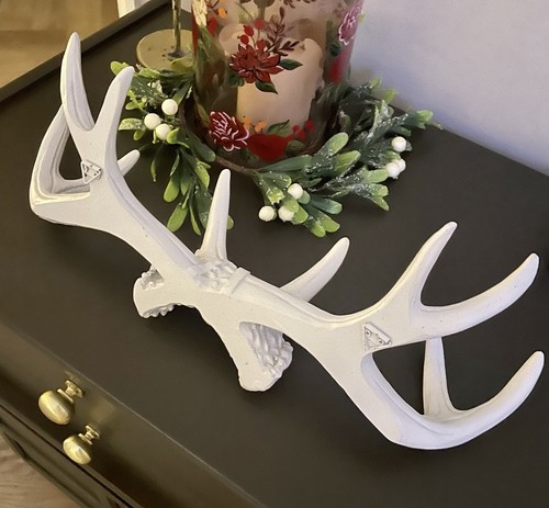 Faux deer antlers - faux, wall