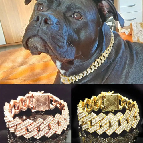 Dog collar choker - chain,