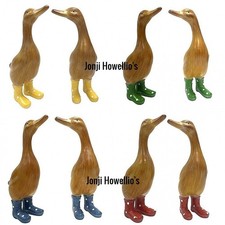 Ducks In Wellies Garden