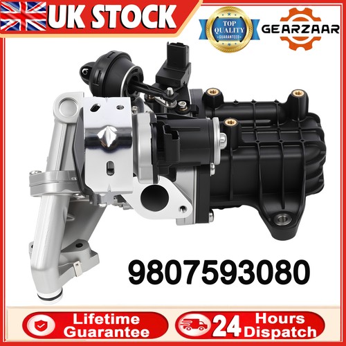 New egr valve module - valve, cooler