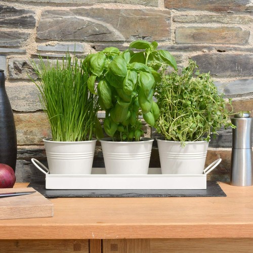Kitchen windowsill metal herb - metal,