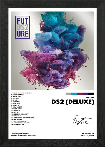 Future ds2 framed wall art - future,