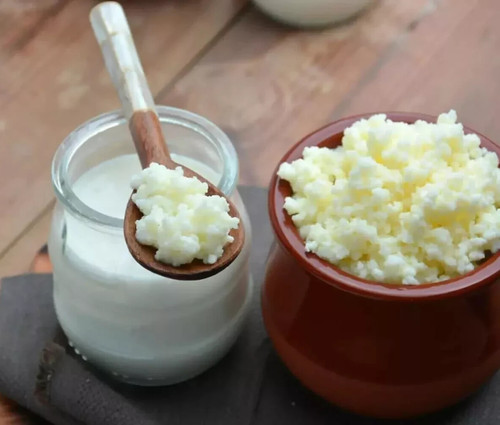 Organic pasteurised milk kefir - milk,