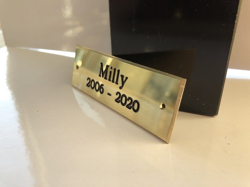 Solid brass 1 - solid, 3"