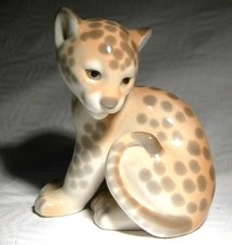 RUSSIAN  LOMONOSOV  LEOPARD