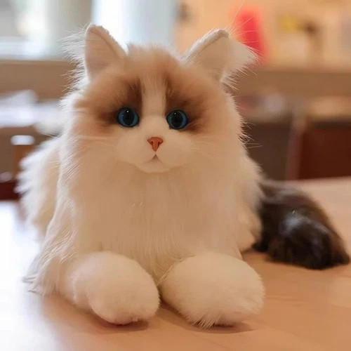 Lifelike plush toy cat - plush,