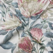 Sanderson, King Protea -