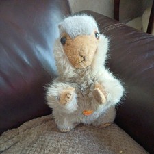 Vintage steiff beaver ear - vintage,