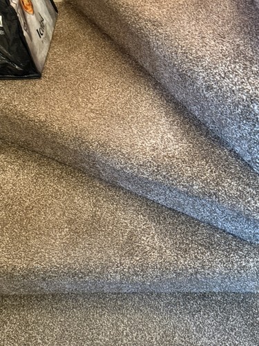 Used carpet underlay - carpet,