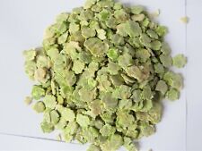 Natural flaked peas 400g Rabbit,Guinea-pig,hamster treat plastic free packaging!