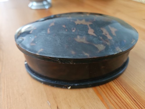 Tortoise shell oval box - box,