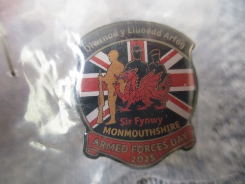 Armed forces day - 2025, lapel