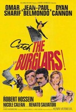 BURGLARS Movie POSTER 27x40