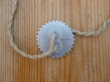 Whirligig Buzzer Toy