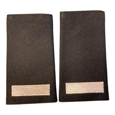 Fire Service Slides - Leading