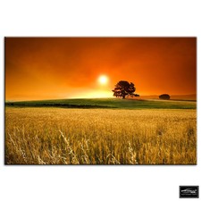 Field Sunset   Landscapes BOX