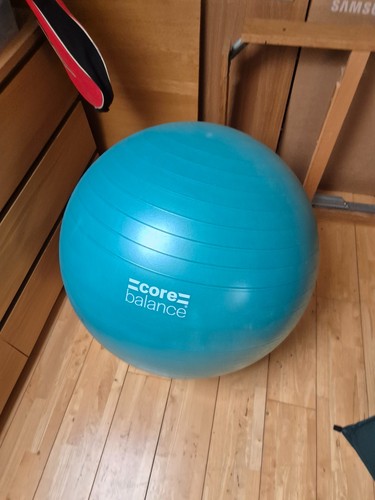 Core balance ball gym - core,